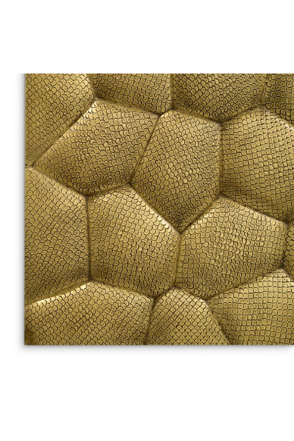 Vintage Brass Snakeskin Wall Object | Eichholtz Maximus | Oroa.com
