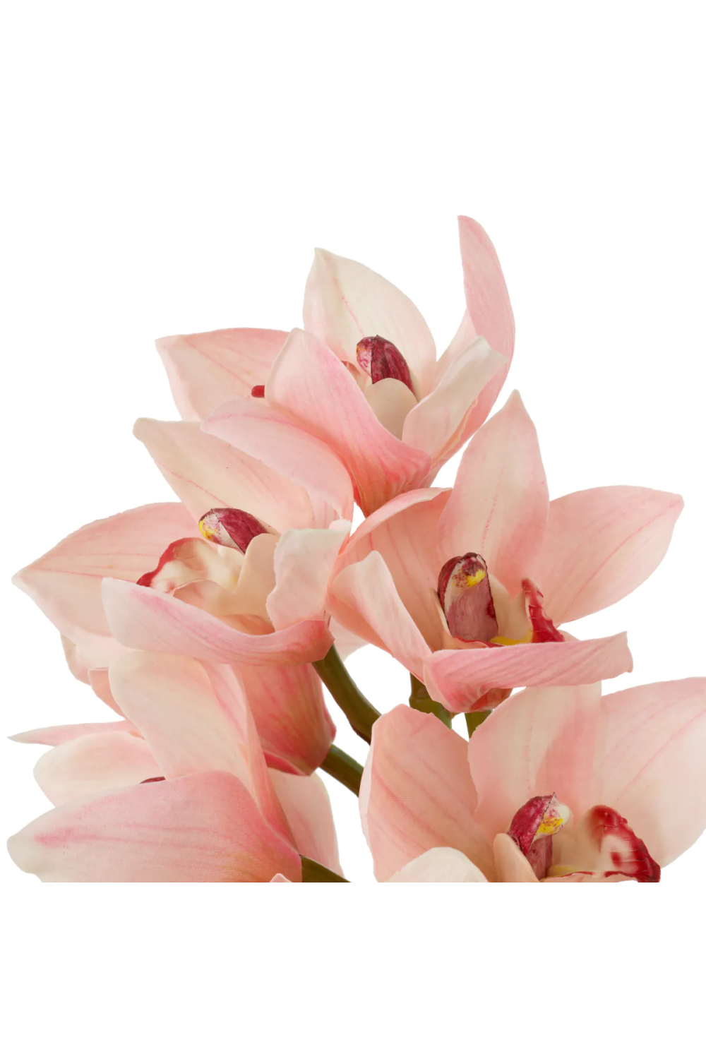 Pink Artificial Orchids Bouquet (36pcs) | Eichholtz Cymbidium | Oroa.com