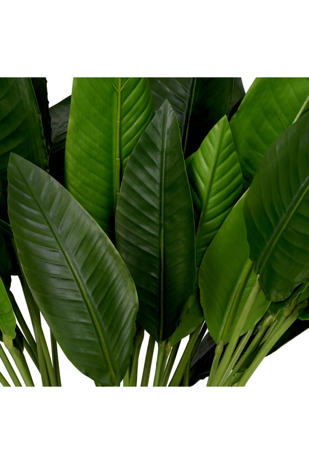 Artificial Green Leaves (36) | Eichholtz Strelitzia | Oroa.com