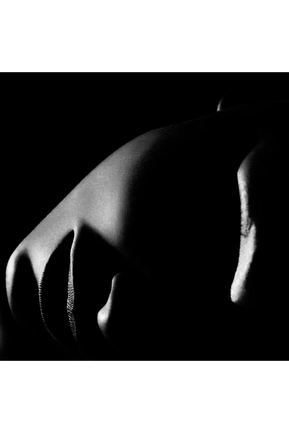 Face Silhouette Artwork | Eichholtz La Nuit | Oroa.com