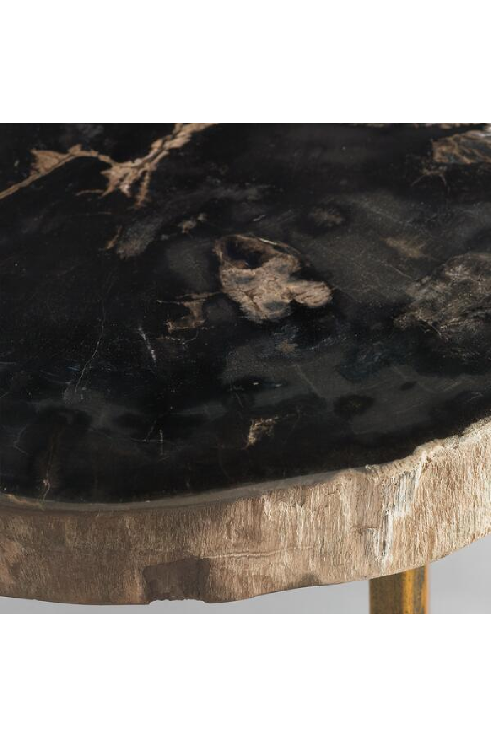Round Petrified Wood Side Table | Andrew Martin Jonah | Oroa.com
