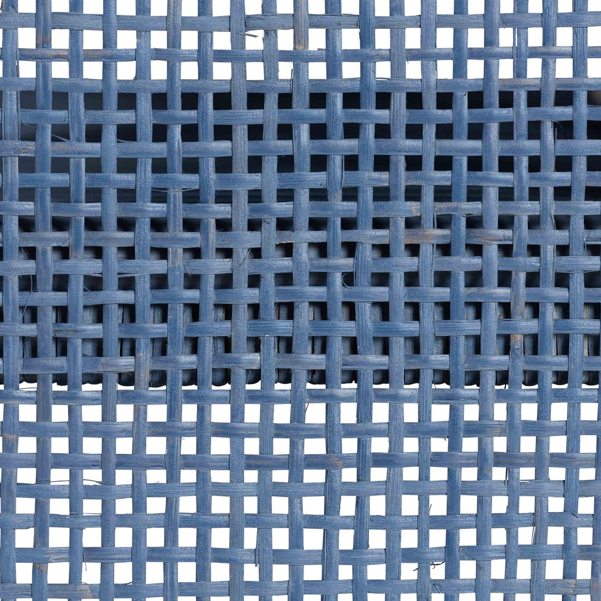 Modern European furniture - Blue Rattan 2-Door Cabinet - www.oroa.com | Oroa.com
