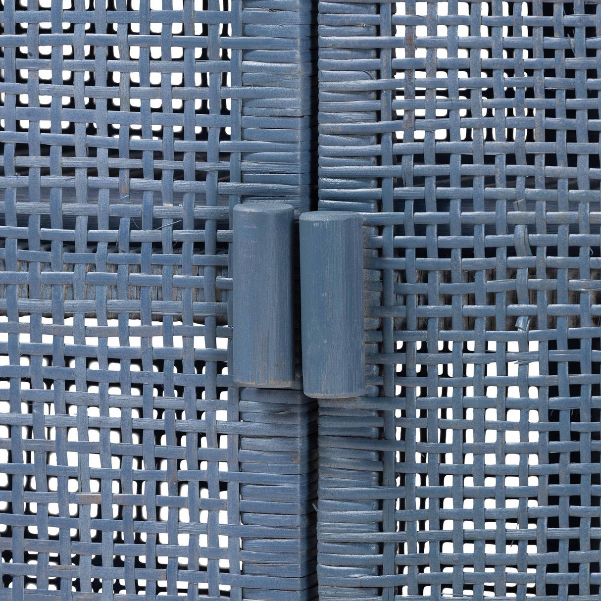 Modern European furniture - Blue Rattan 2-Door Cabinet - www.oroa.com | Oroa.com