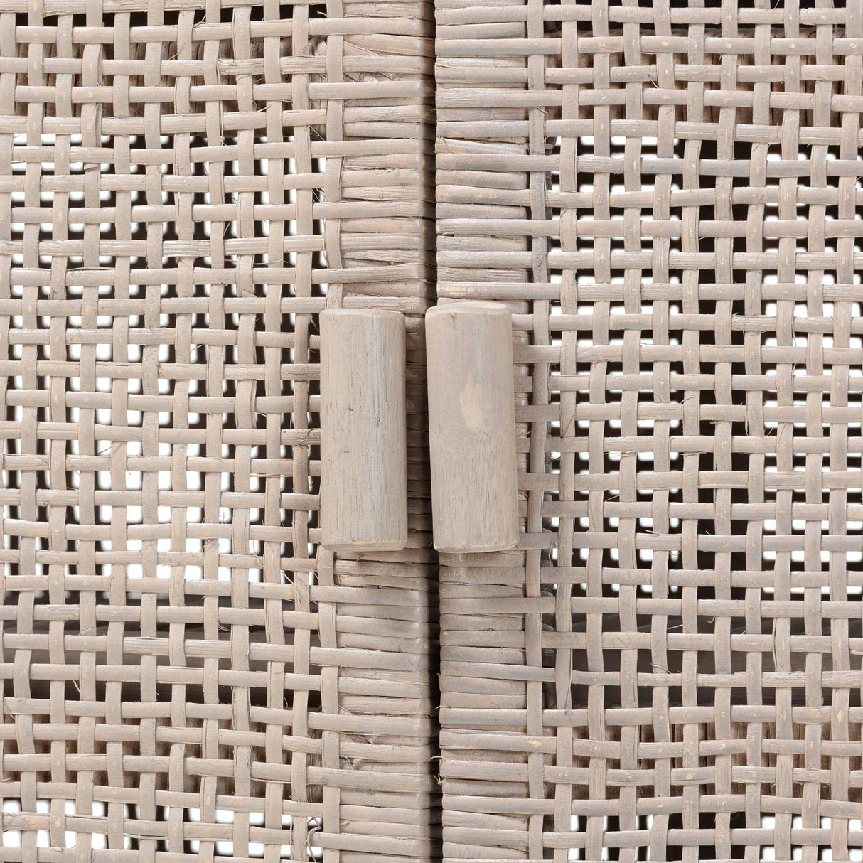 Modern European furniture - Gray Rattan 2-Door Cabinet - www.oroa.com | Oroa.com