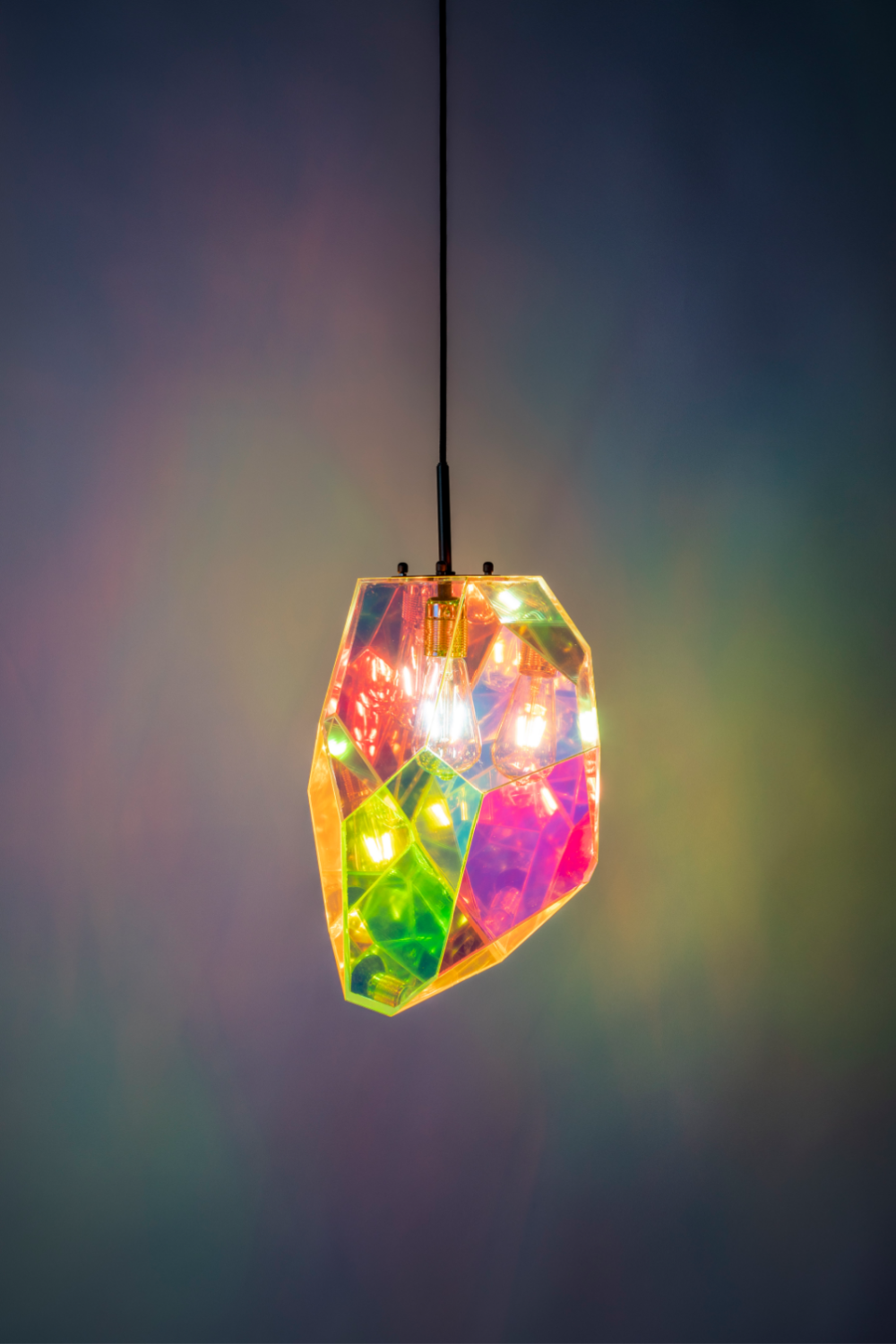 Holographic Pendant Lamp | Bold Monkey Diamond Dear | OROA.com