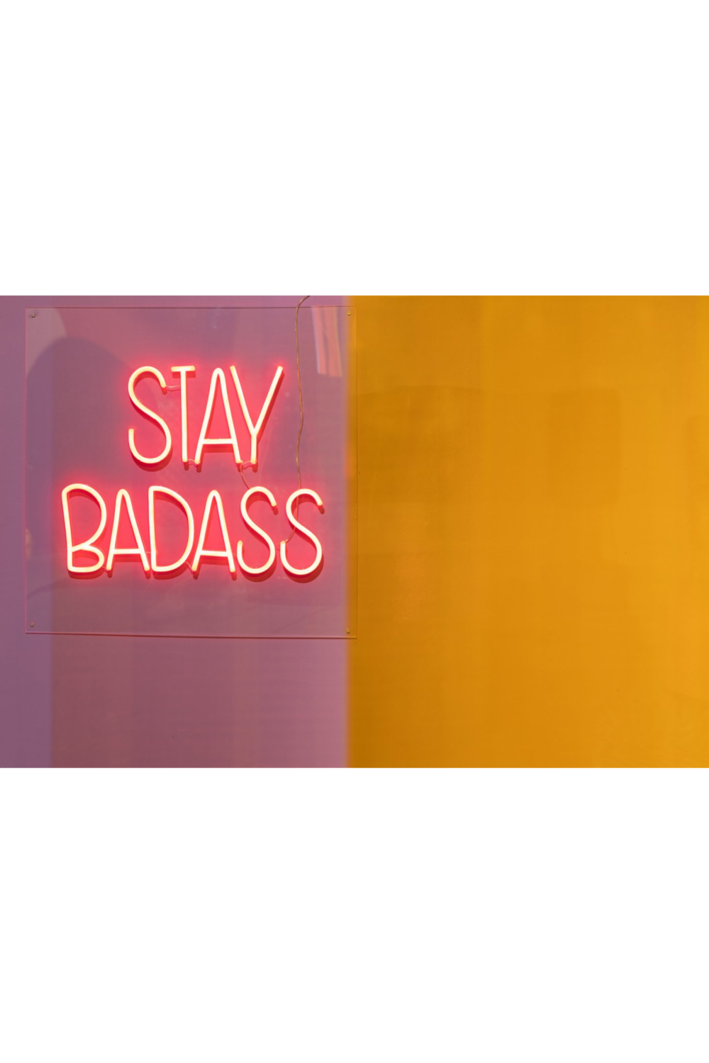 LED red neon sign | Bold Monkey Badass Non Social | OROA.com