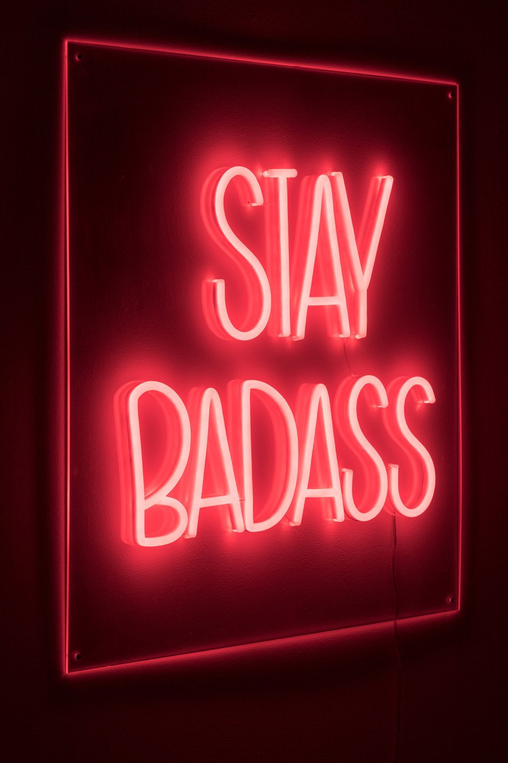 LED red neon sign | Bold Monkey Badass Non Social | OROA.com