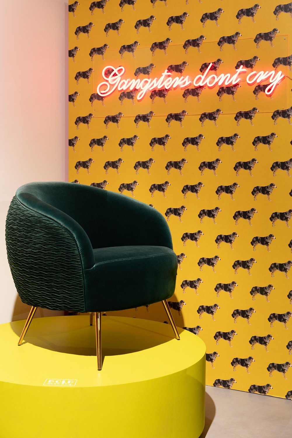 LED neon sign | Bold Monkey Gangsters Non Social | OROA.com