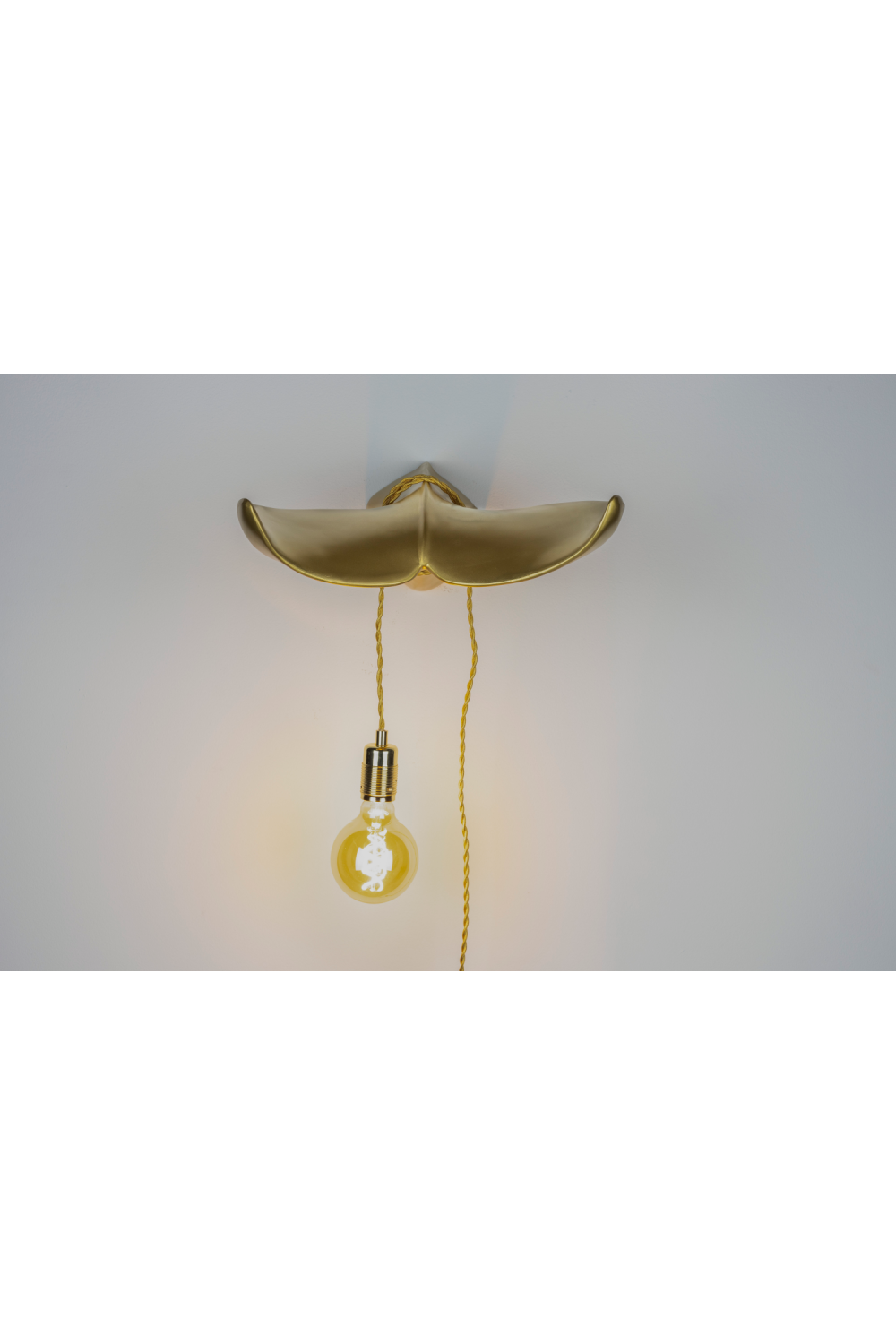 Fish Tail Wall Lamp | Bold Monkey The Taill Will Follow | Oroa.com