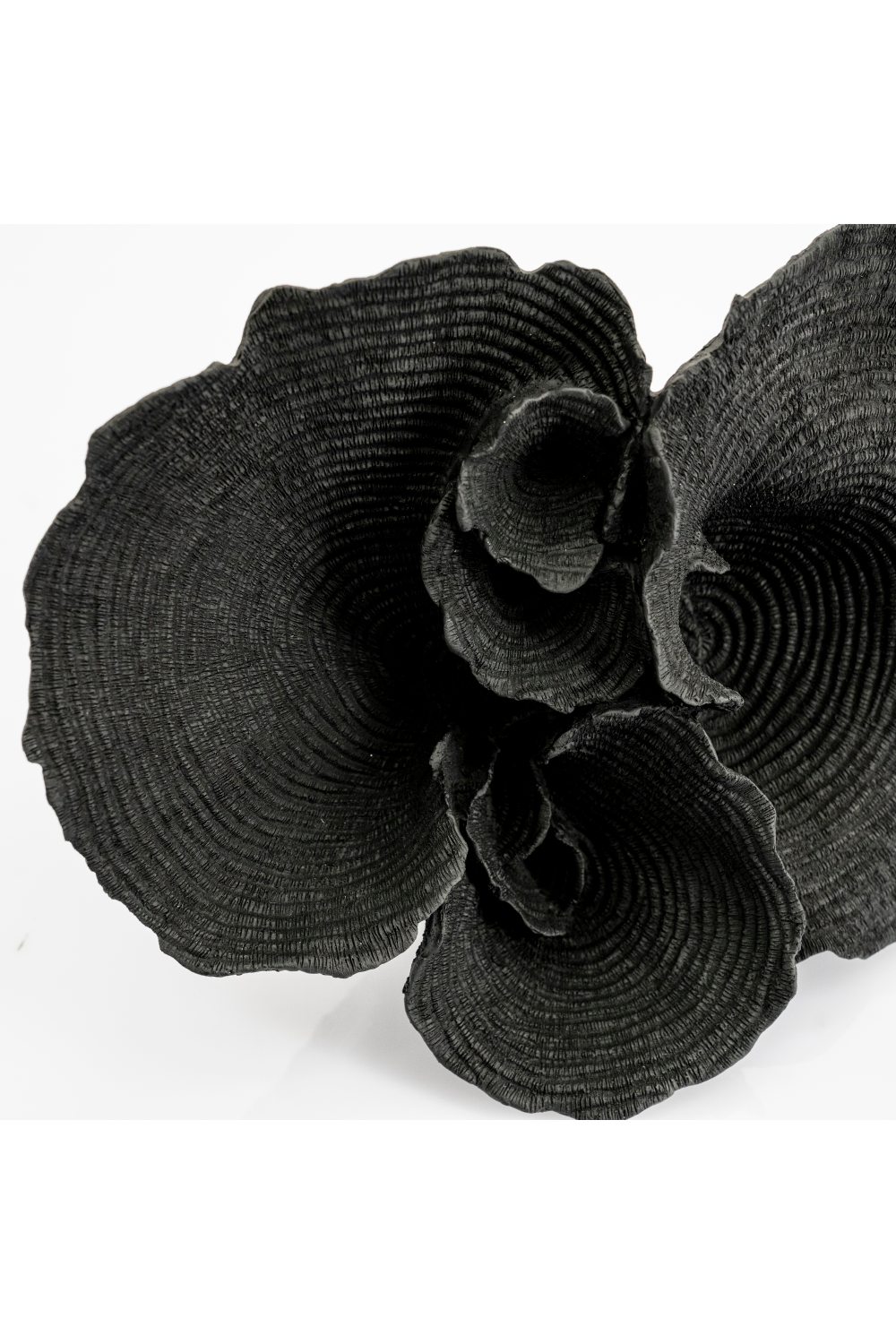Black Decorative Polyresin Coral (4) | By-Boo Agari | OROA.com