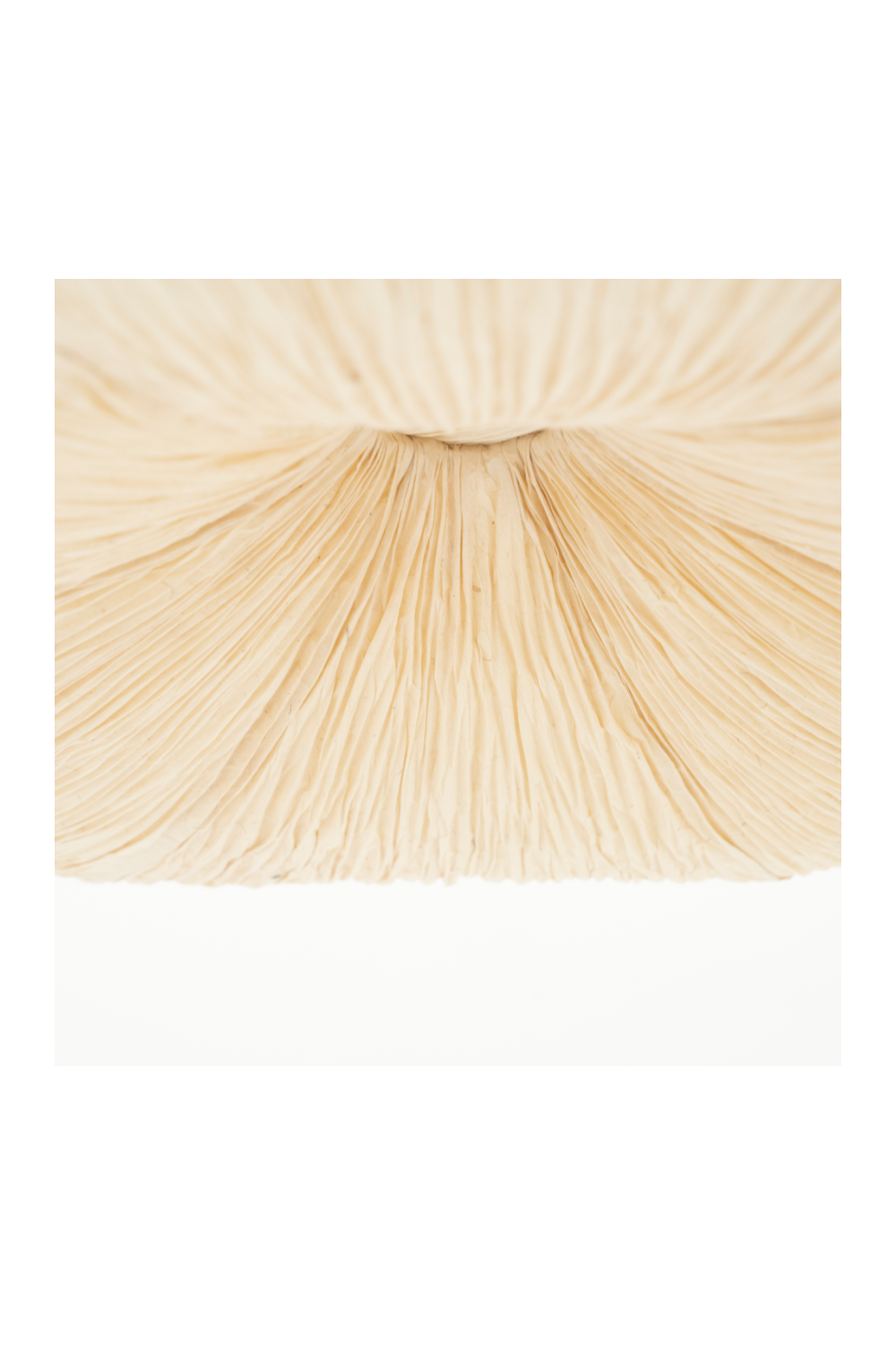 Handmade Paper Pendant Lamp | By-Boo Lokta | OROA.com