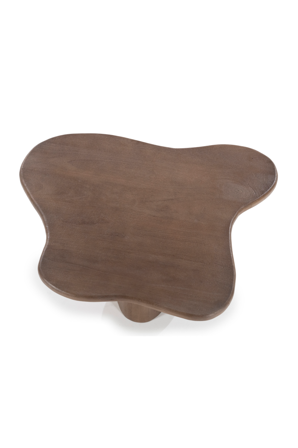Mango Wood Organic Coffee Table | Oroa.com