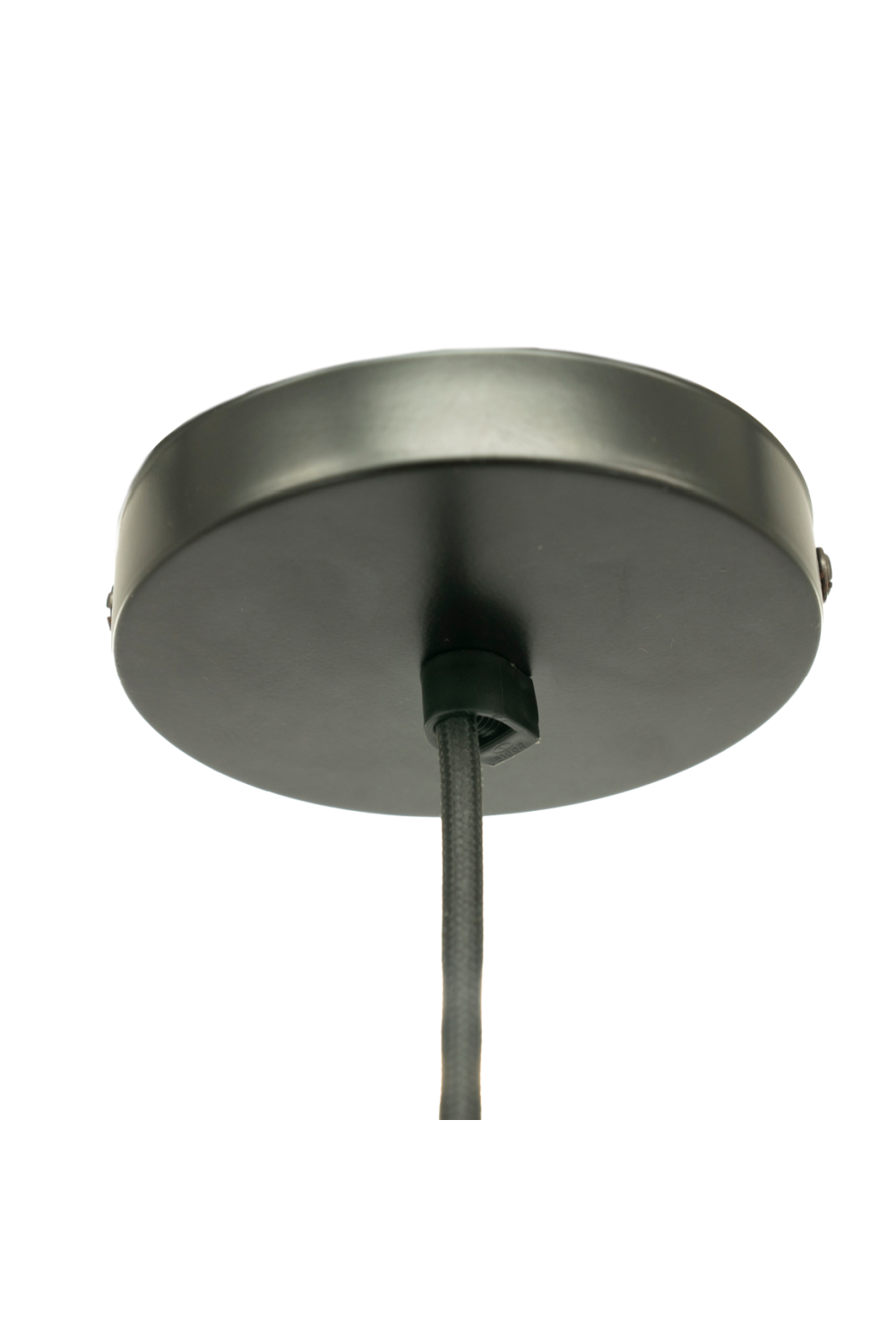 Abaca Plant Pendant Lamp | By-Boo Benti | OROA.com