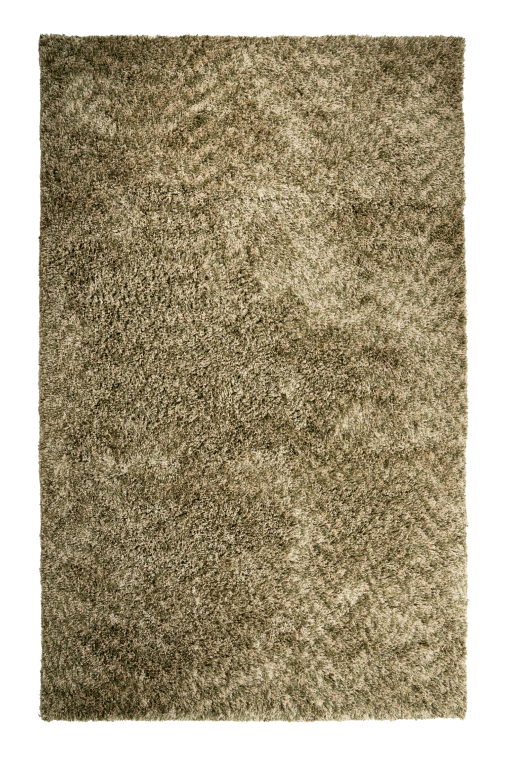 Shaggy Plush Carpet 6' x 10' | Oroa.com