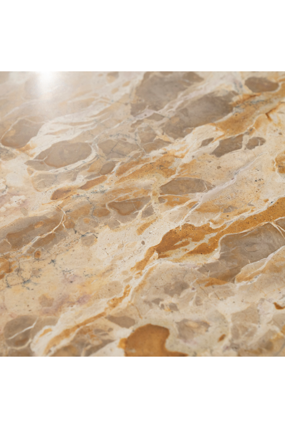 Polished Marble Coffee Table | Oroa.com