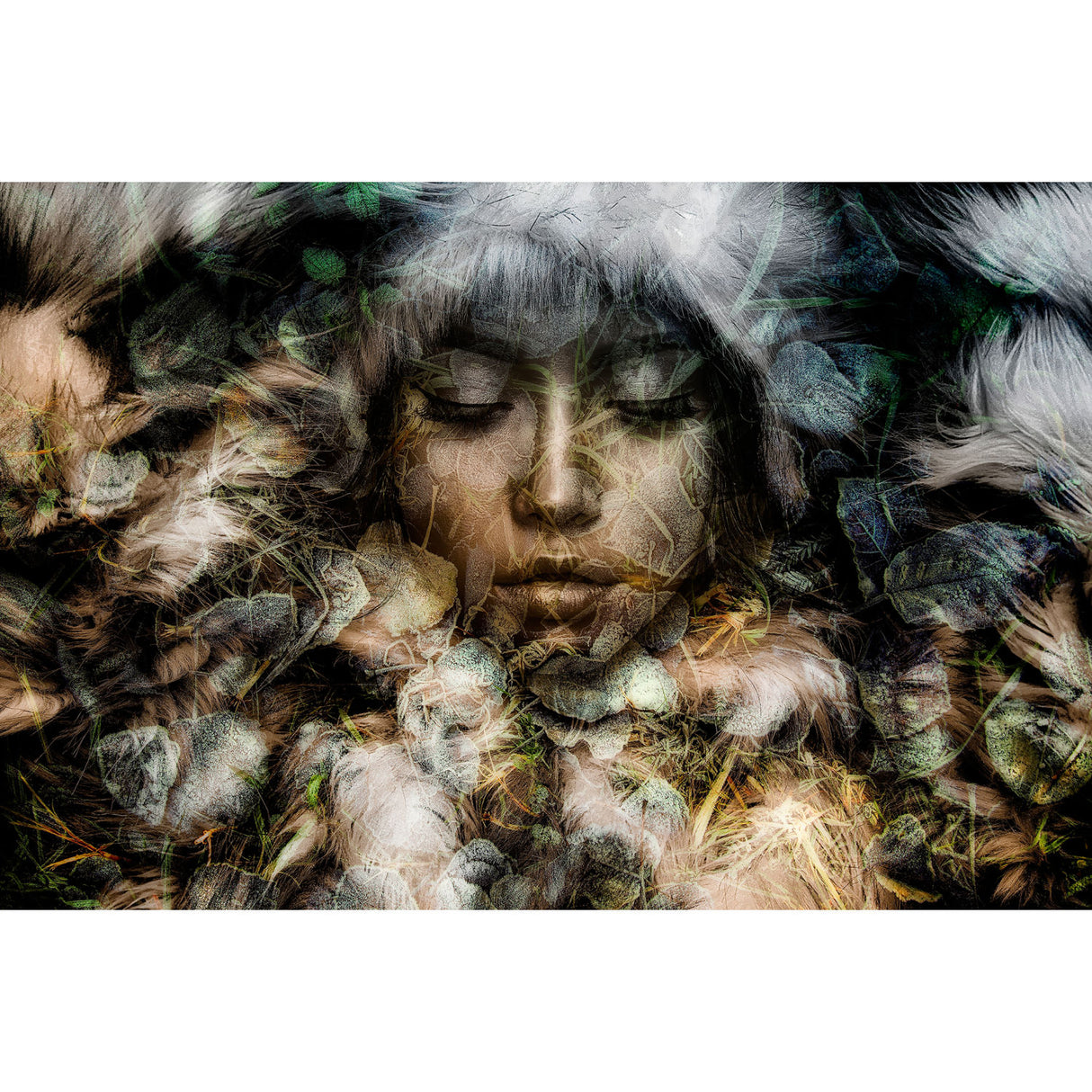 Frosty Lady Photographic Art | Oroa.com