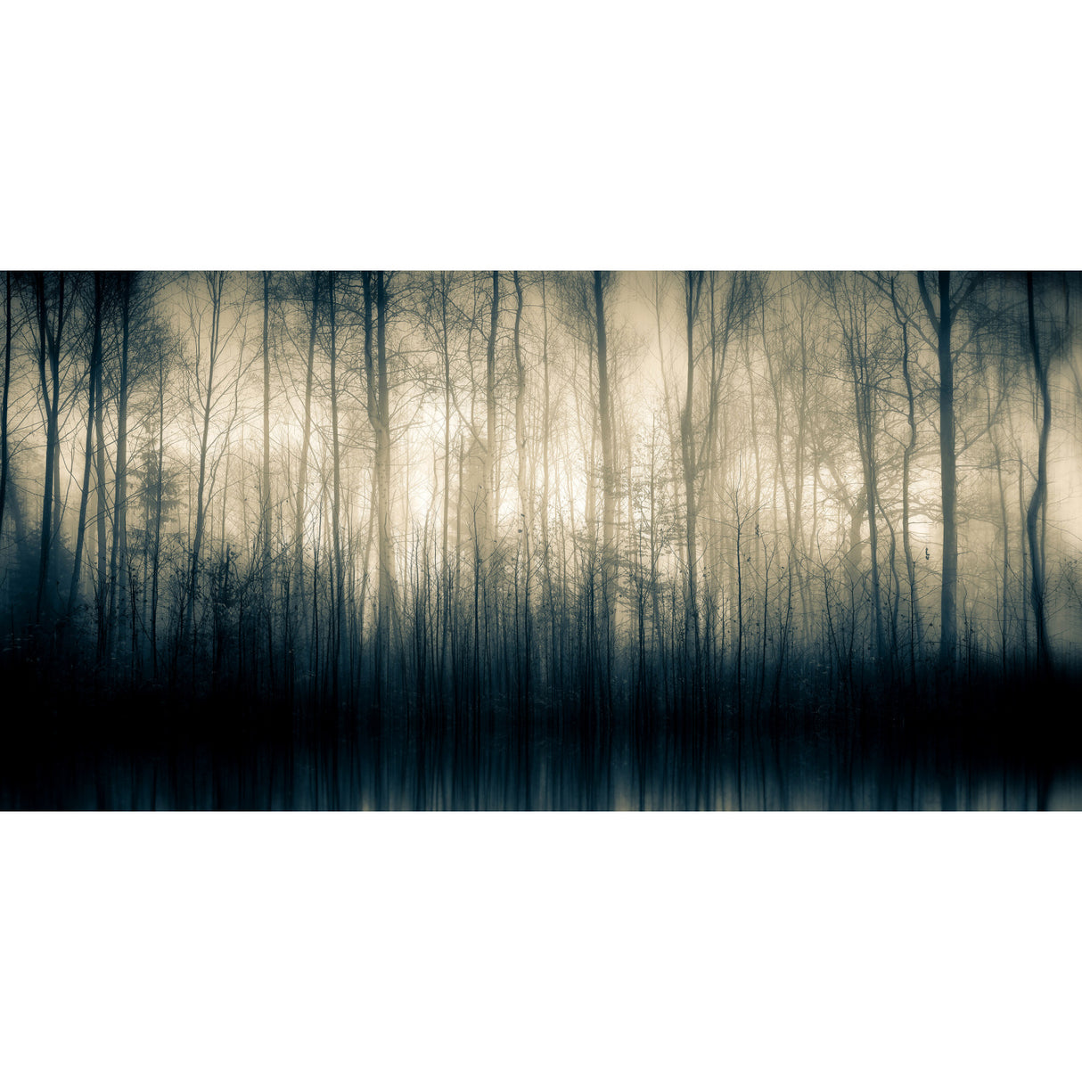 Misty Woodland Photographic Art | Oroa.com