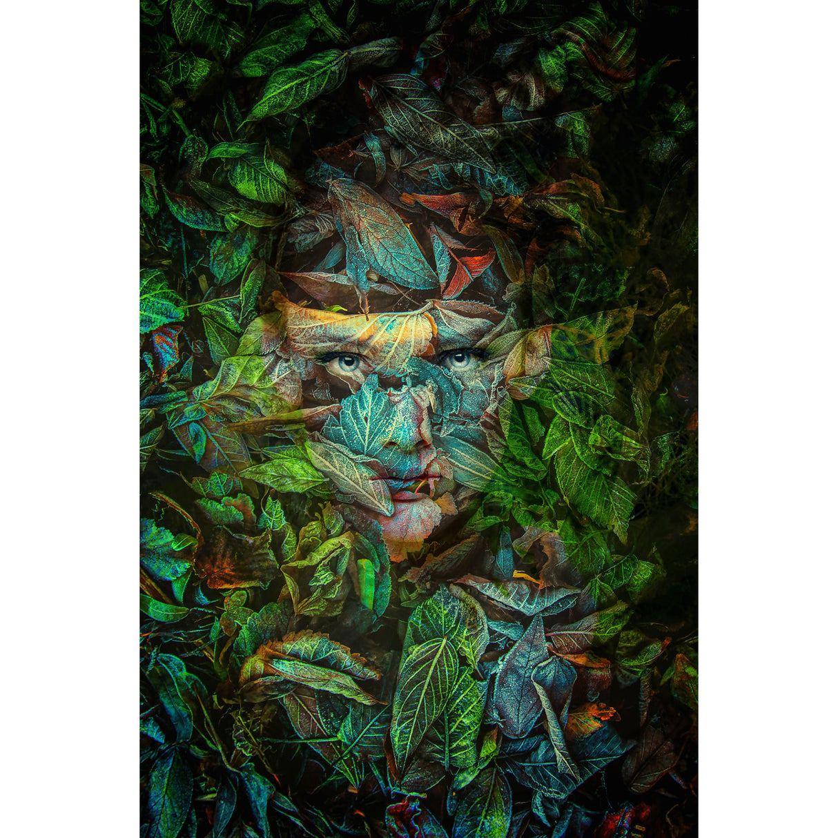 Foliage Mask Photographic Art | Oroa.com
