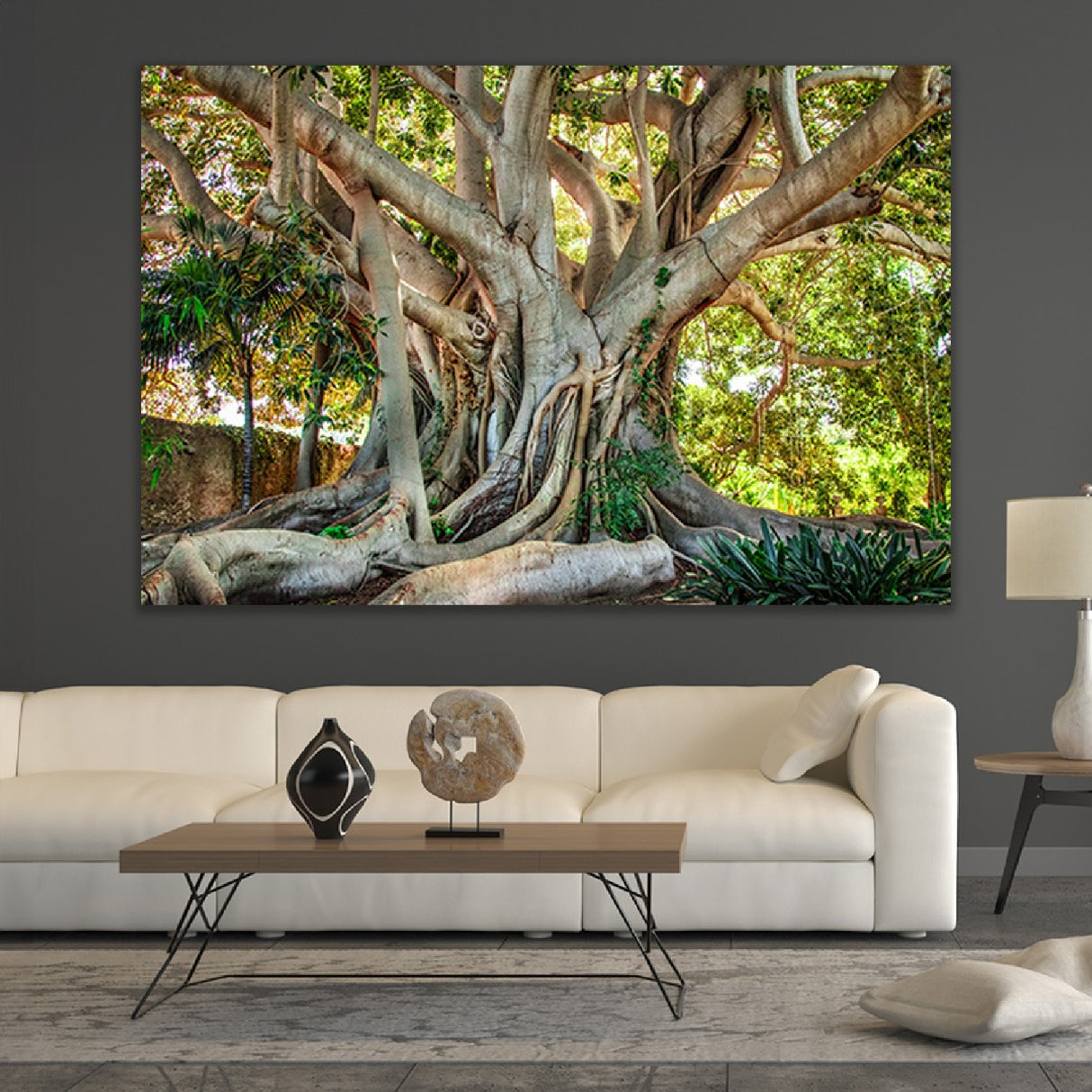 Evergreen Wonder Photographic Art | Oroa.com