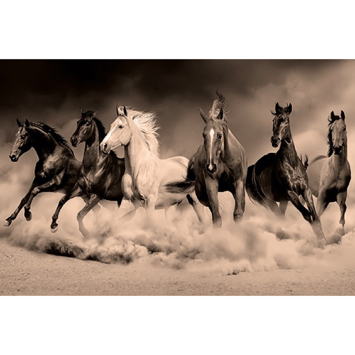Modern European furniture - Wild Horses Photographic Artwork - www.oroa.com | Oroa.com