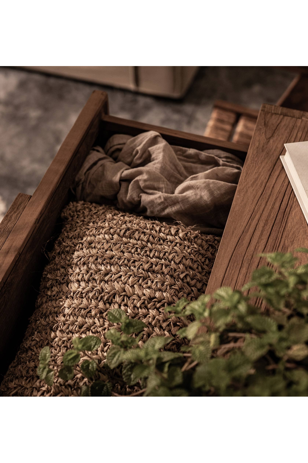 Coconut Leaf 3 Drawer Dresser | dBodhi Coco | OROA.com