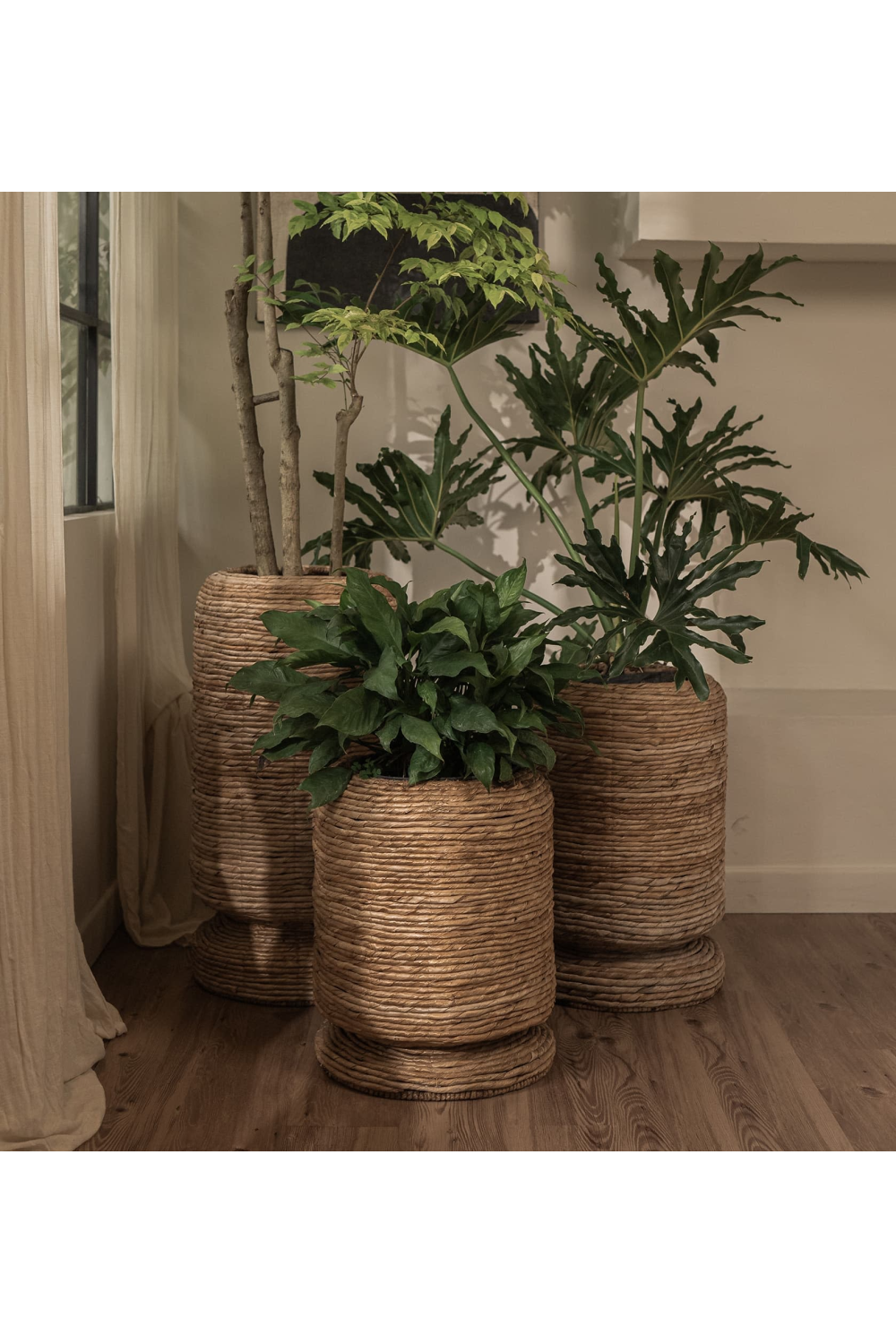 Abaca Cover Pot | dBodhi Cone | OROA.com
