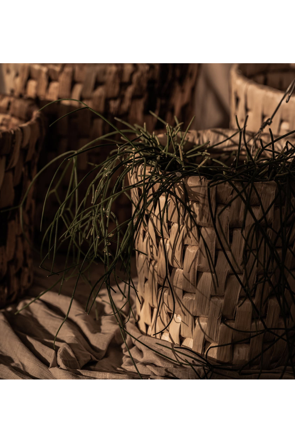 Round Weaved Abaca Basket Set (2) | dBodhi Semeru | OROA.com