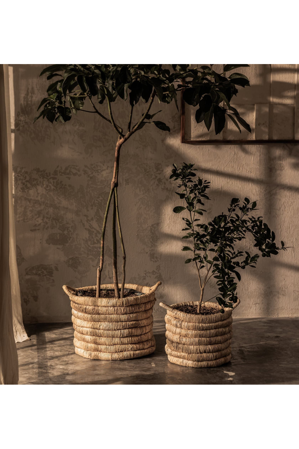 Round Abaca Basket With Handle | dBodhi Caterpillar Sago | OROA.com
