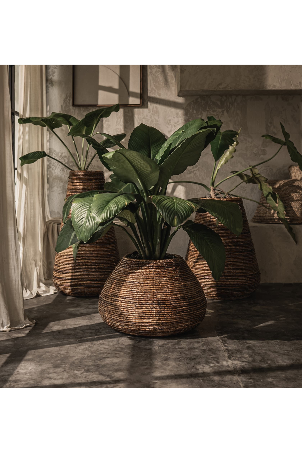Two-Toned Abaca Basket Planter | dBodhi Java | OROA.com