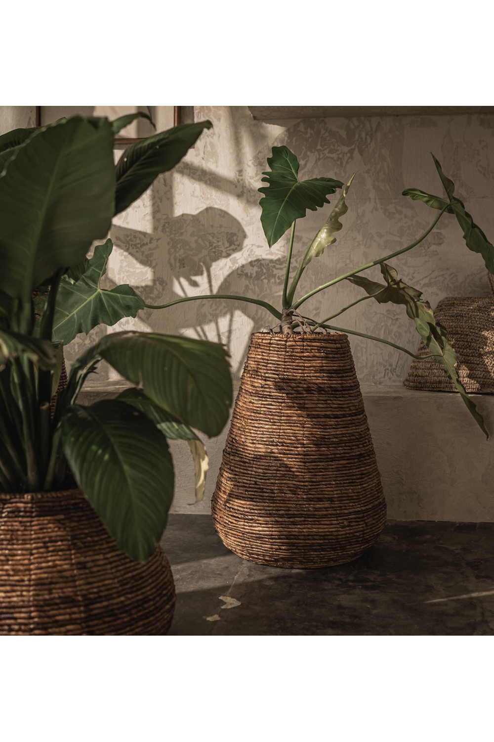 Two-Toned Abaca Basket Planter | dBodhi Java | OROA.com