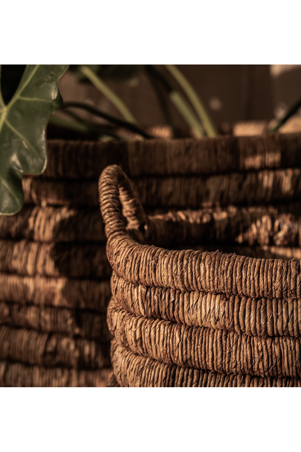 Rectangular Abaca Basket With Handle Set (2) | dBodhi Caterpillar Sago | OROA.com