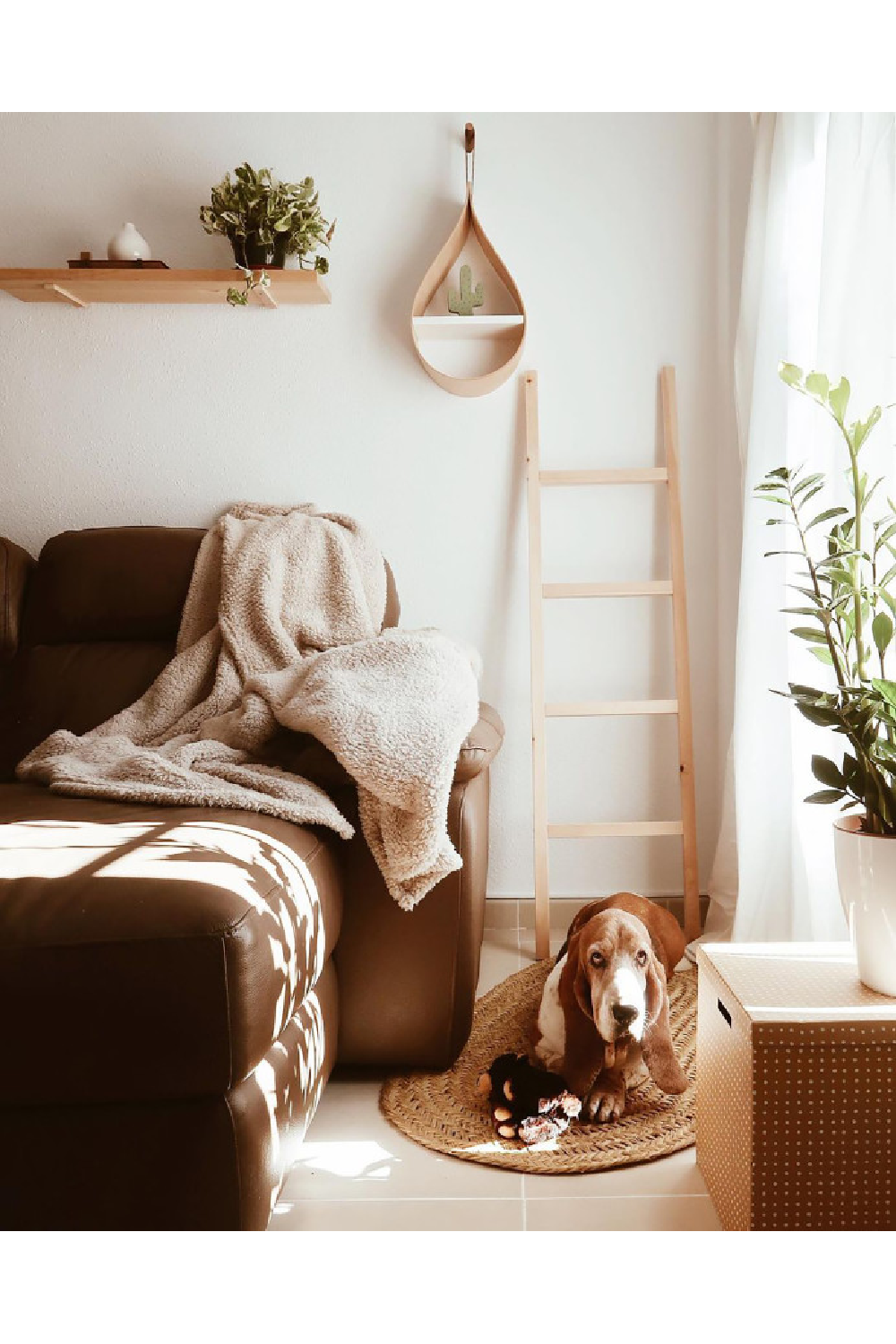 Solid Pine Wood Ladder | Decowood Stairs | OROA.com