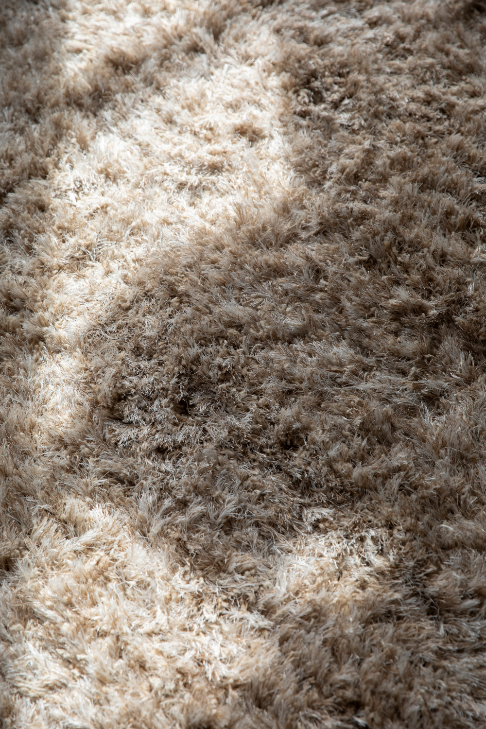 Beige Wool Carpet | Dutchbone Hairy | Oroa.com