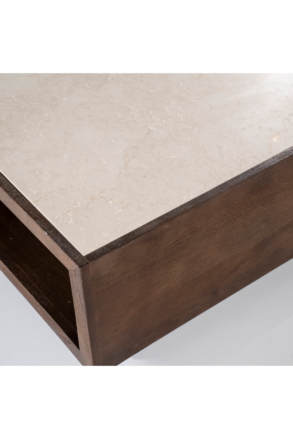 Mango Wood Box Coffee Table | Eleonora Hazel | OROA.com