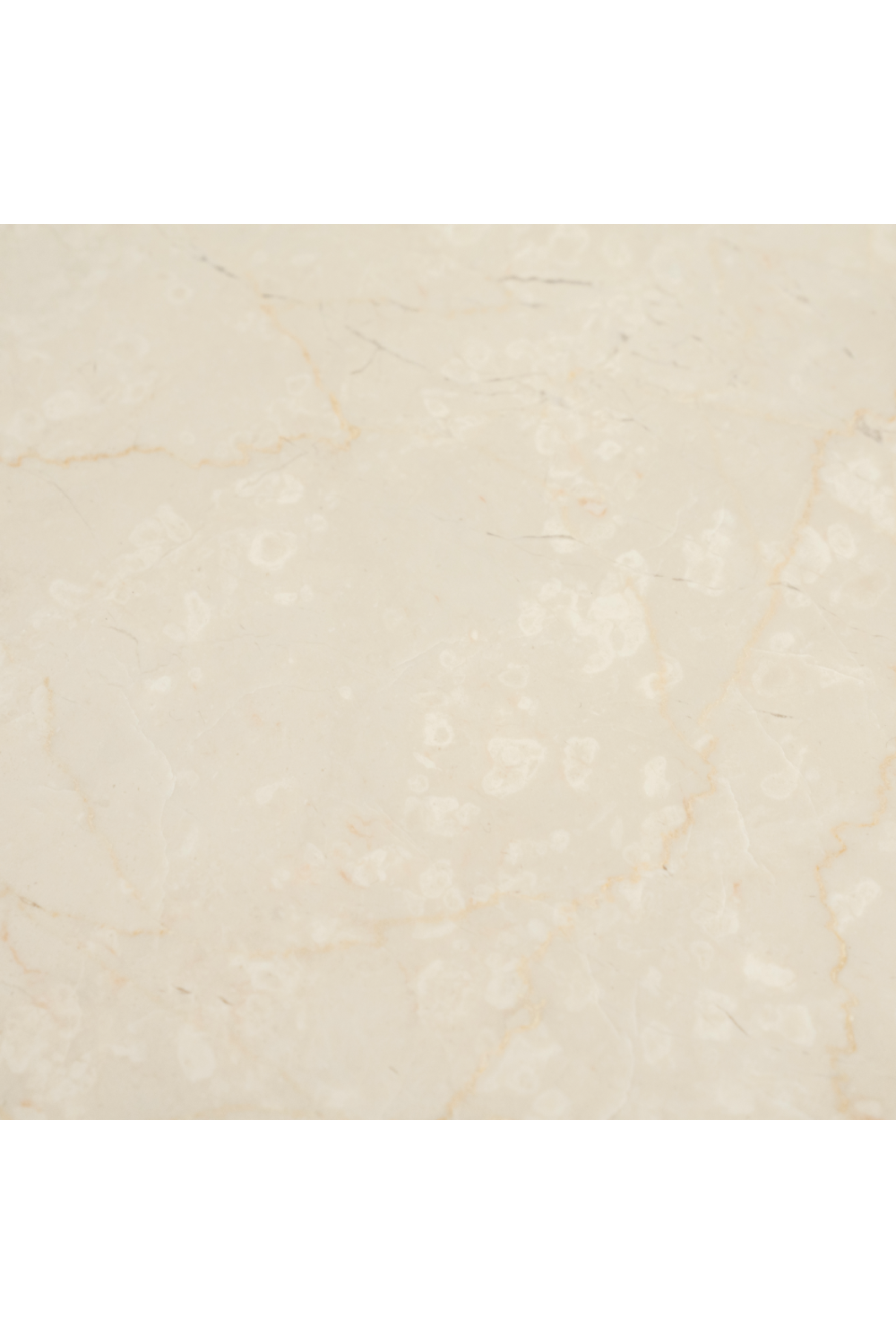 White Marble Top Coffee Table | Eleonora Fred | OROA.com