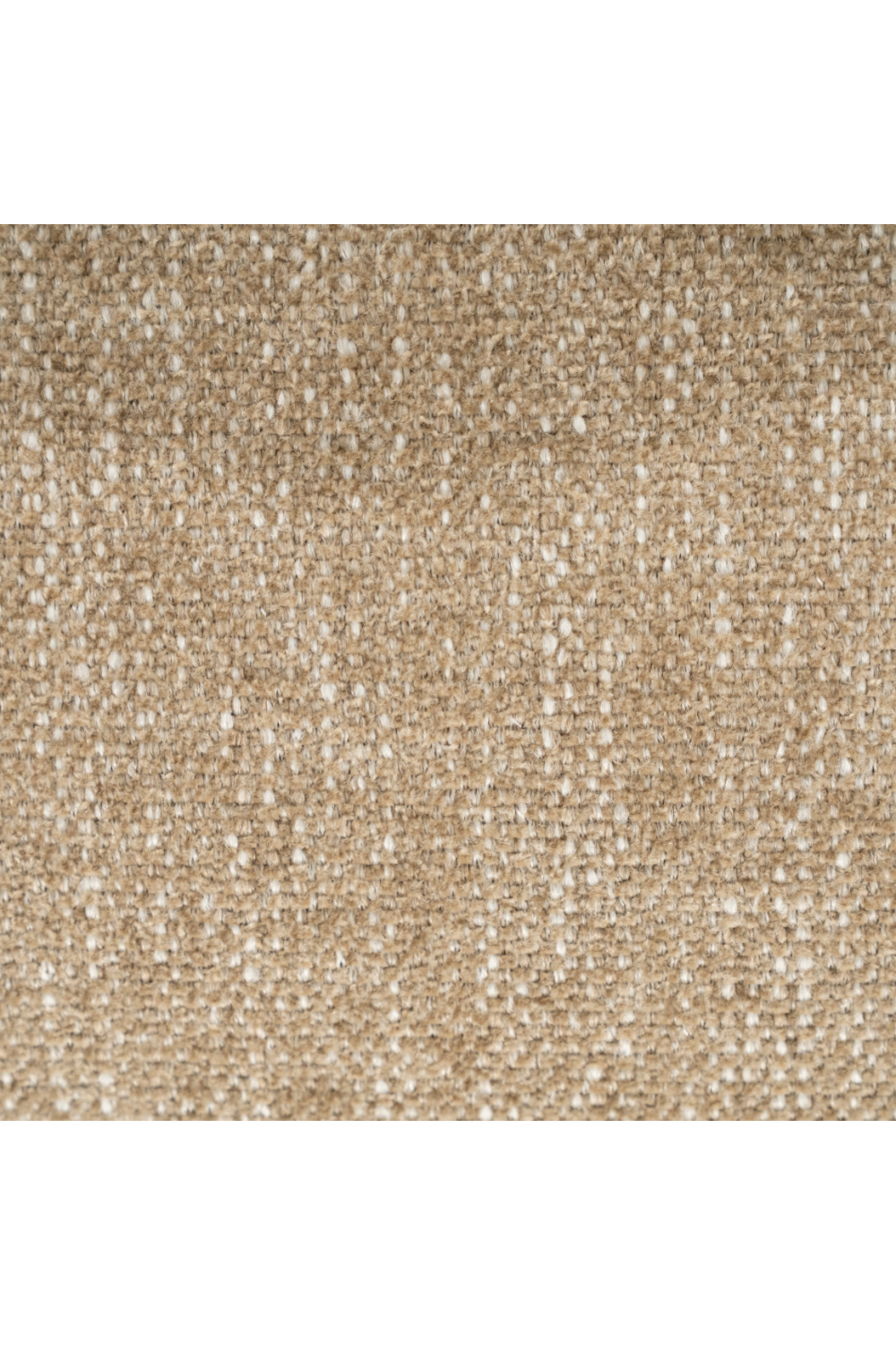 Open-Back Modern Dining Chair | Eleonora Odette | Oroa.com