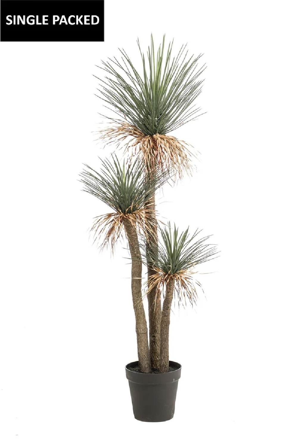 Green Crowned-Leaf Faux Plant | Emerald Yucca Rostrata| Oroa.com