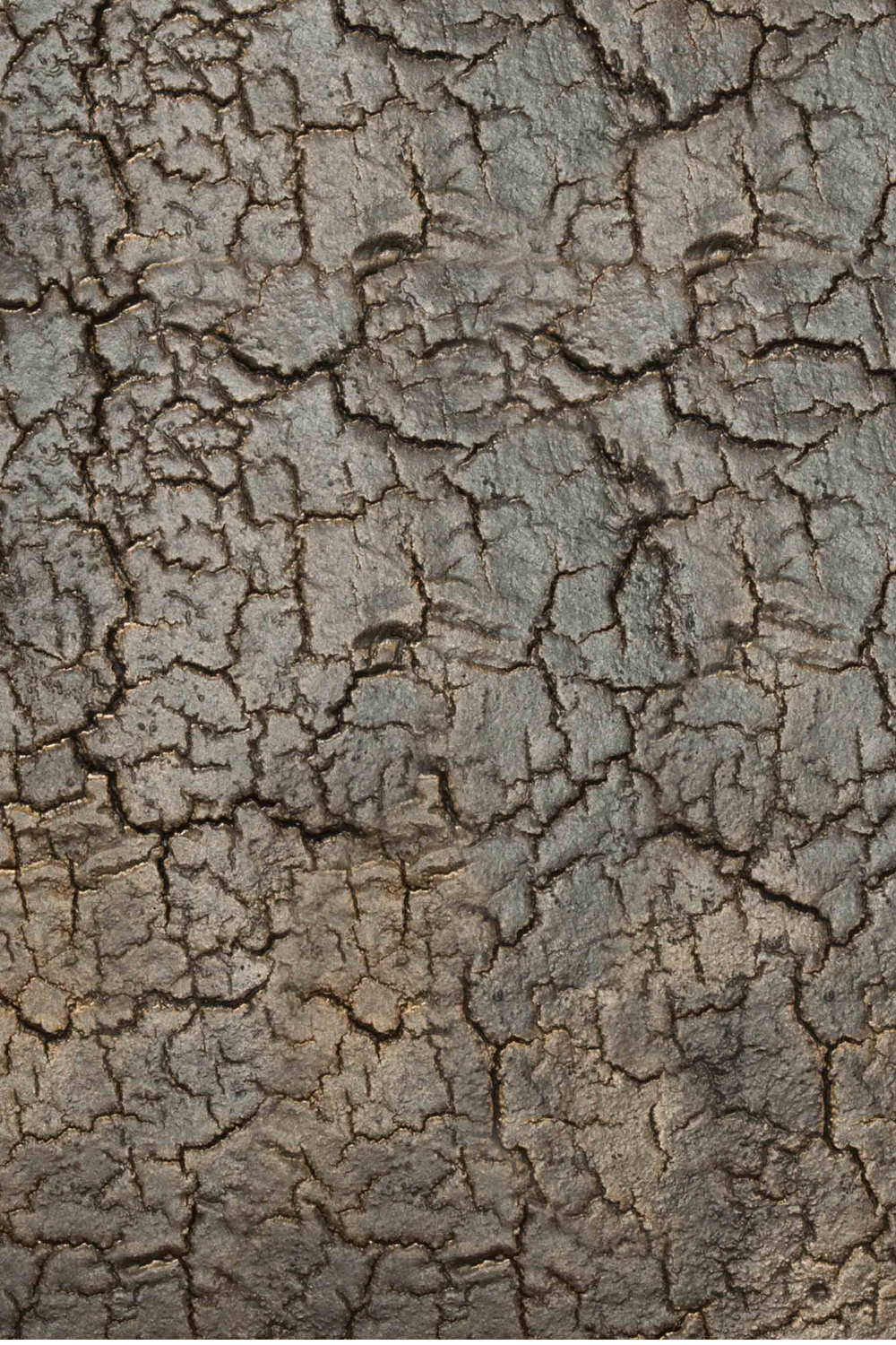 Mineral Console Table | Ethnicraft Pentagon | OROA.COM