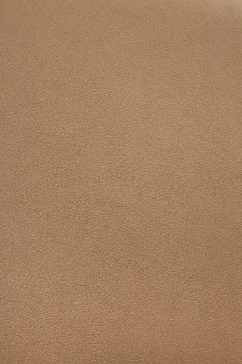 Varnished Oak Leather Lounge Chair | Ethnicraft Eye | Oroa.com