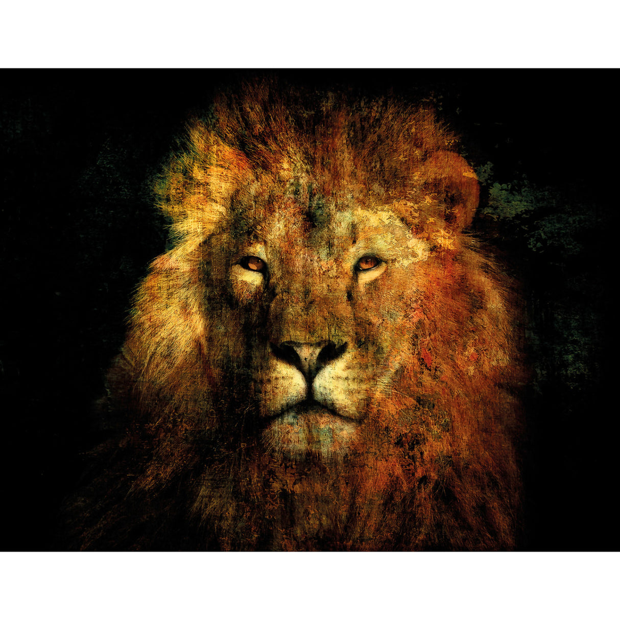 Jungle King Headshot Photographic Art | Oroa.com