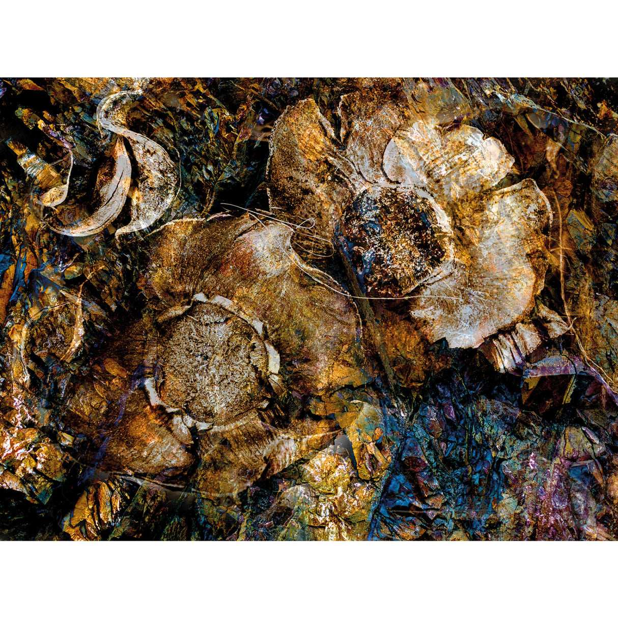 Brown Leaves Photographic Art | Oroa.com