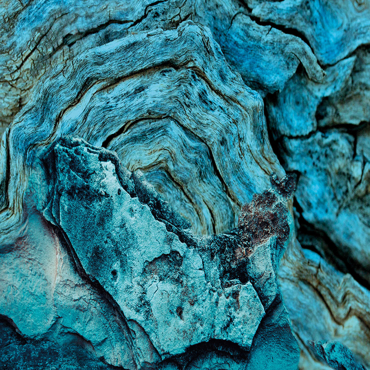 Modern Abstract Photographic Art | Oroa.com