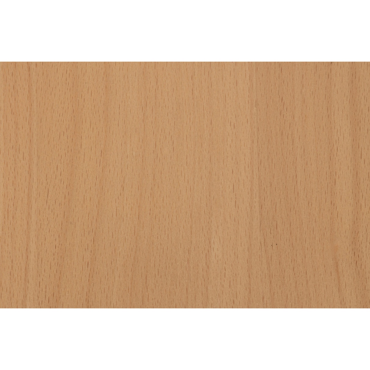 Modern furniture - Beech Wood Dining Chairs (2) - www.oroa.com | Oroa.com