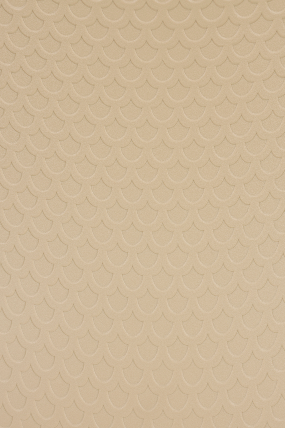 Molded Shell Dining Chairs (2) | DF Leon | Oroa.com