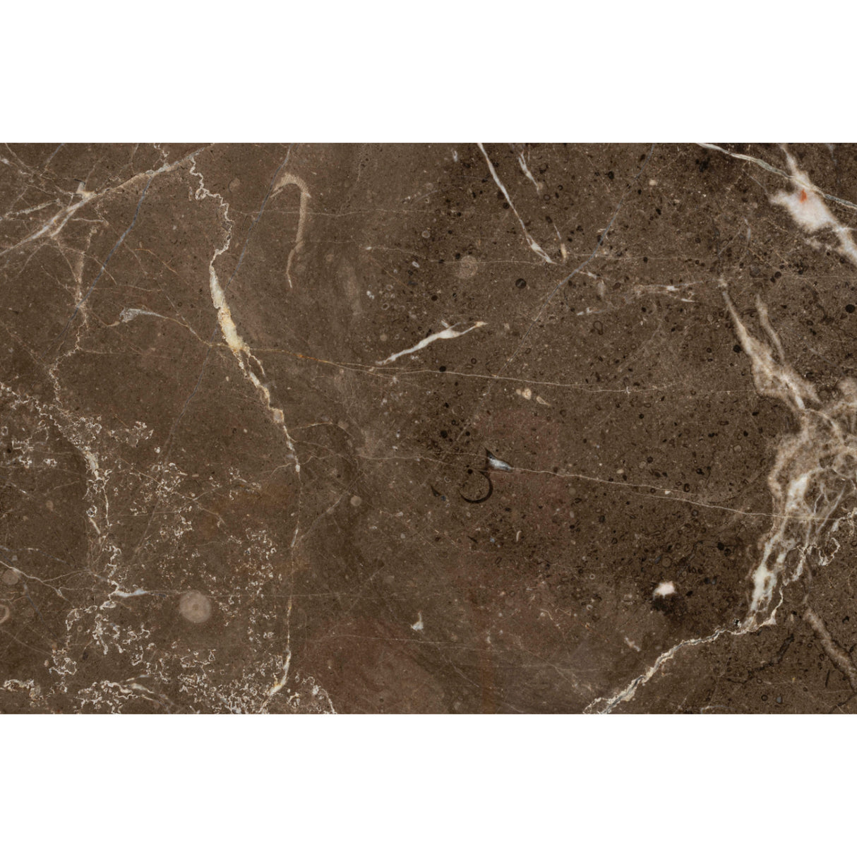 Modern European furniture - Beige Marble Round Side Table - www.oroa.com | Oroa.com