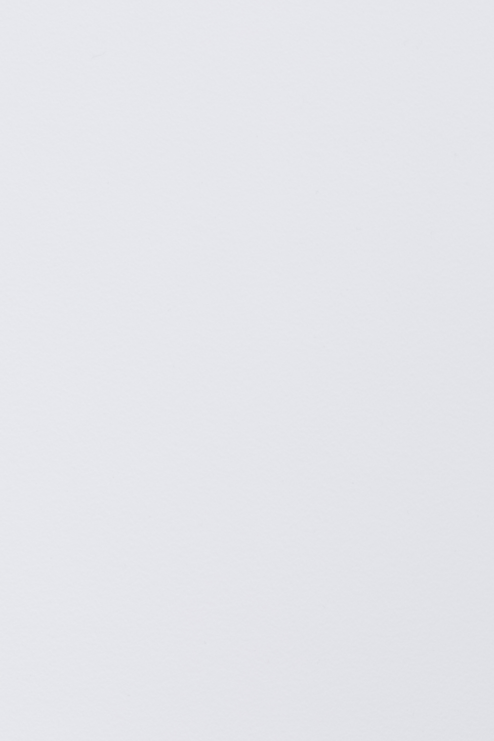 Curved Back Dining Chairs (2) | DF Gigi | Oroa.com