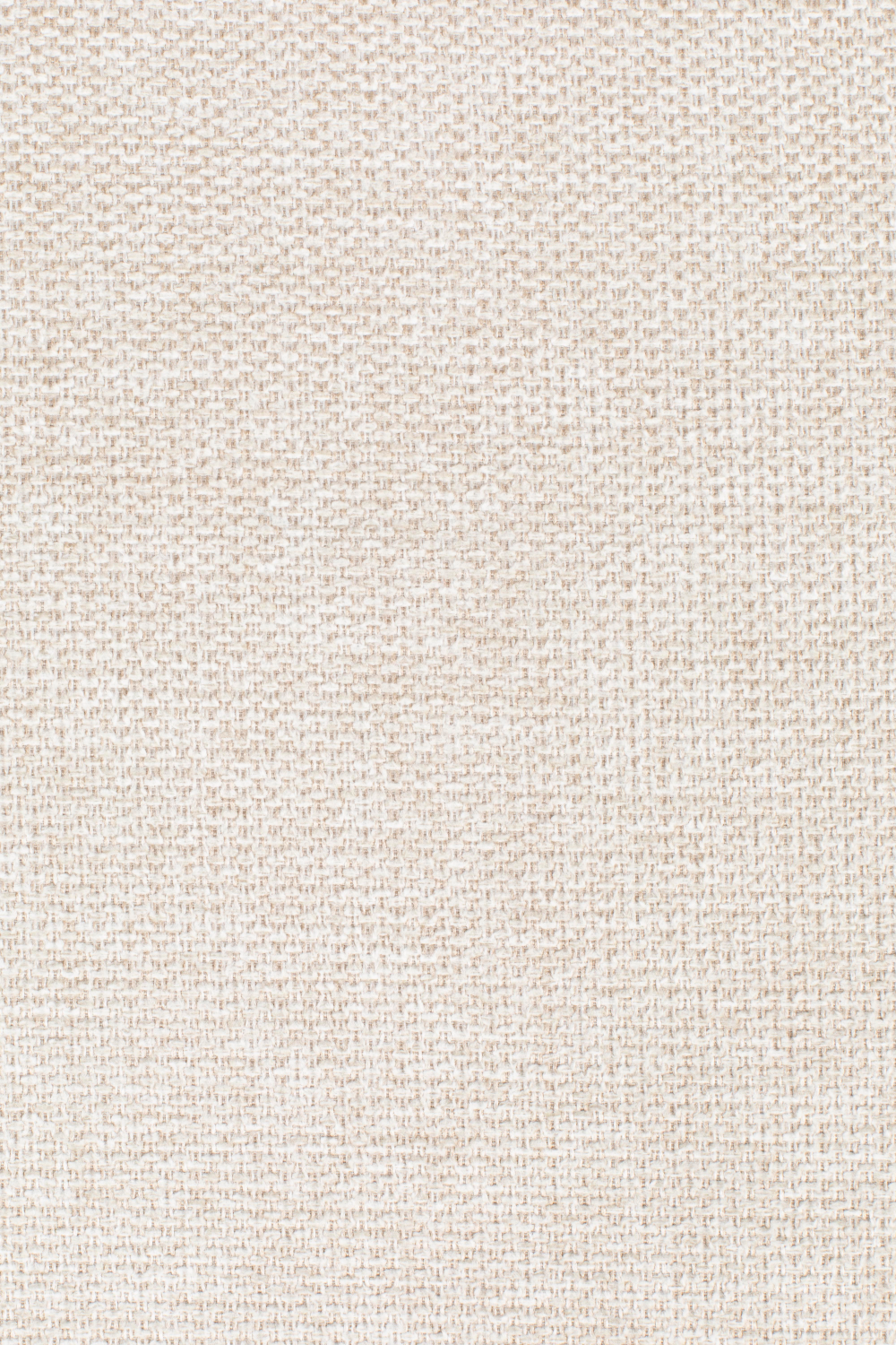 Modern Upholstered Dining Chairs (2) | DF Lionel | OROA.com