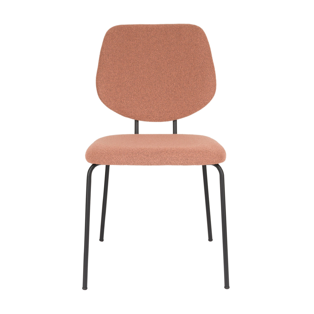 Modern European furniture - Metal Framed Dining Chairs (2) - www.oroa.com | Oroa.com