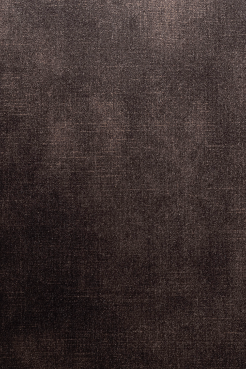 Velvet Modern Dining Armchairs (2) | DF Jamie | OROA.com