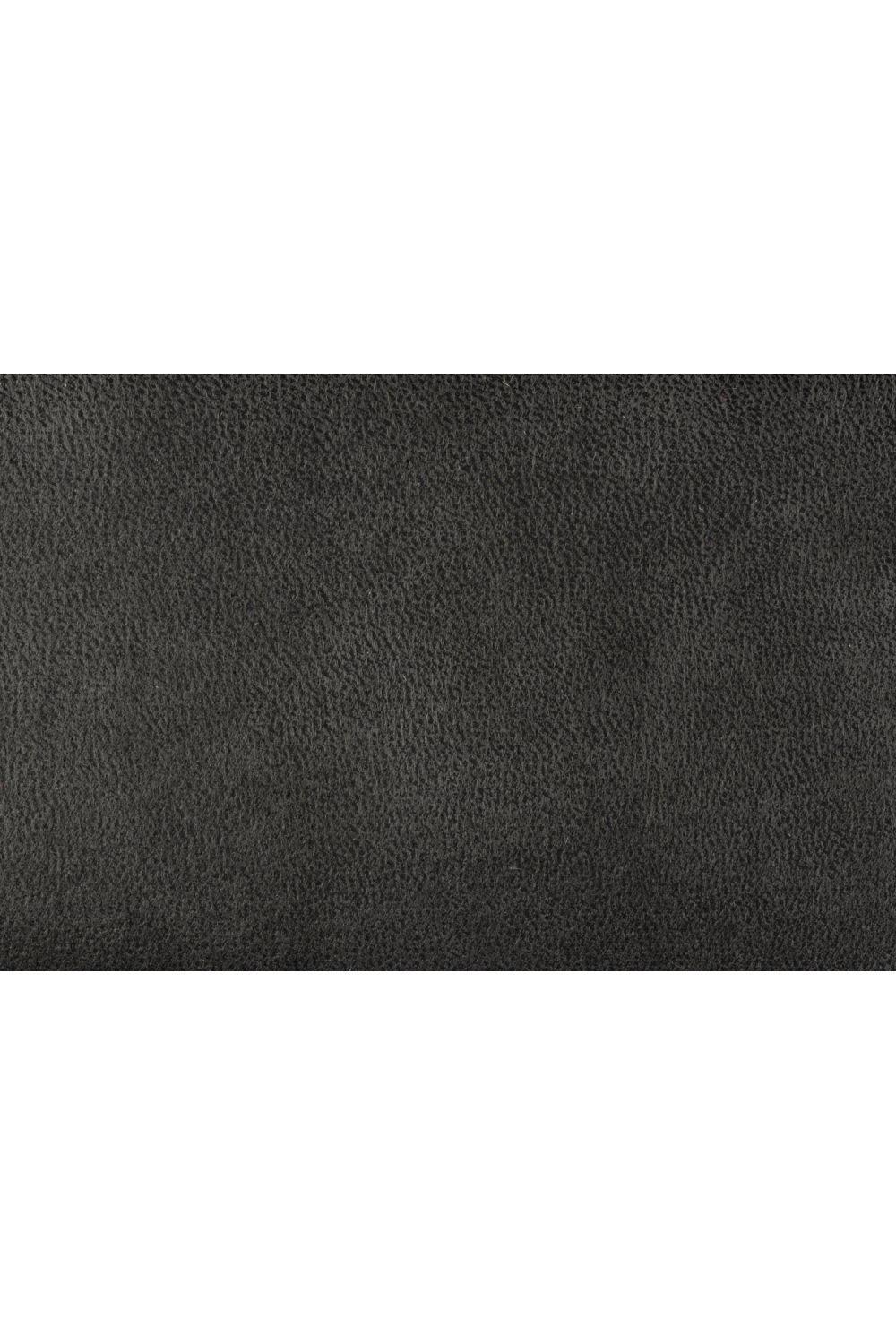 Modern Lounge Chair | Oroa.com